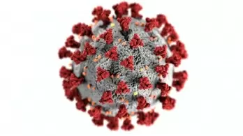 Covid may increase in children as virus changing behaviour, warns V.K. Paul